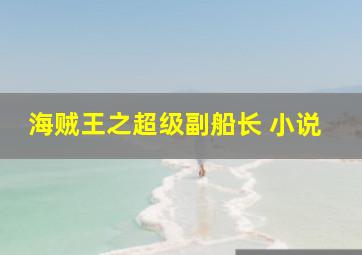 海贼王之超级副船长 小说